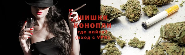 трава Новодвинск